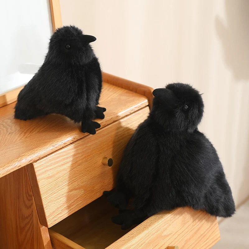 15-35cm Soft Black Raven Plush Toy Good Girls Club