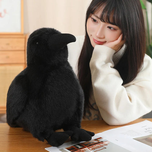 15-35cm Soft Black Raven Plush Toy Good Girls Club